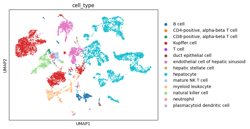 ../../_images/notebooks_analysis_demo_comp_bio_data_integration_scvi_29_1.png