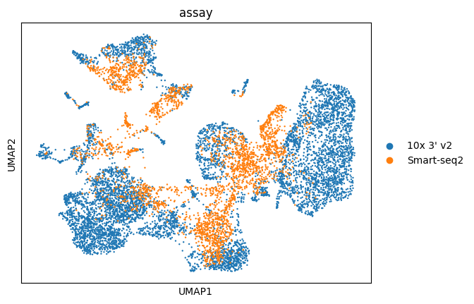 ../../_images/notebooks_analysis_demo_comp_bio_data_integration_scvi_46_1.png