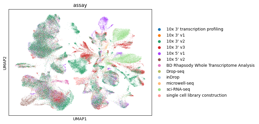 ../../_images/notebooks_analysis_demo_comp_bio_explore_and_load_lung_data_56_1.png