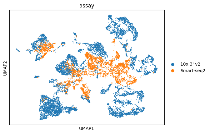 ../../_images/notebooks_analysis_demo_comp_bio_data_integration_scvi_37_1.png