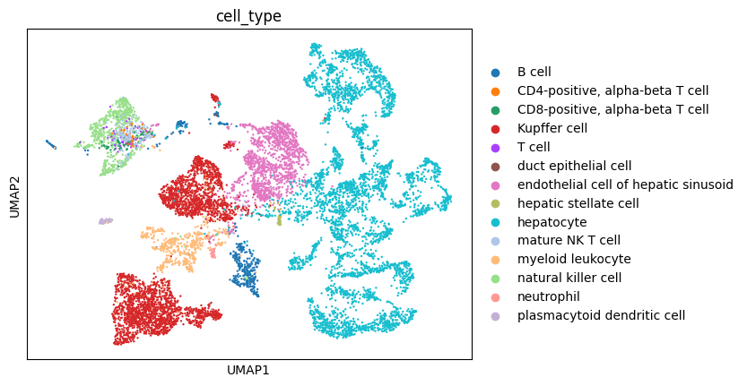 ../../_images/notebooks_analysis_demo_comp_bio_data_integration_scvi_38_1.png