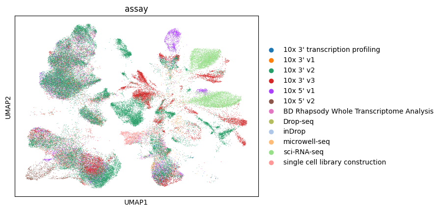 ../../_images/notebooks_analysis_demo_comp_bio_explore_and_load_lung_data_61_1.png
