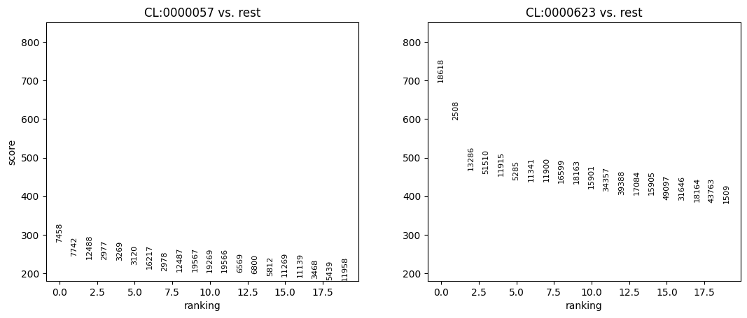 ../../_images/notebooks_api_demo_census_rank_gene_groups_5_0.png