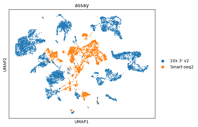 ../../_images/notebooks_analysis_demo_comp_bio_data_integration_scvi_28_1.png
