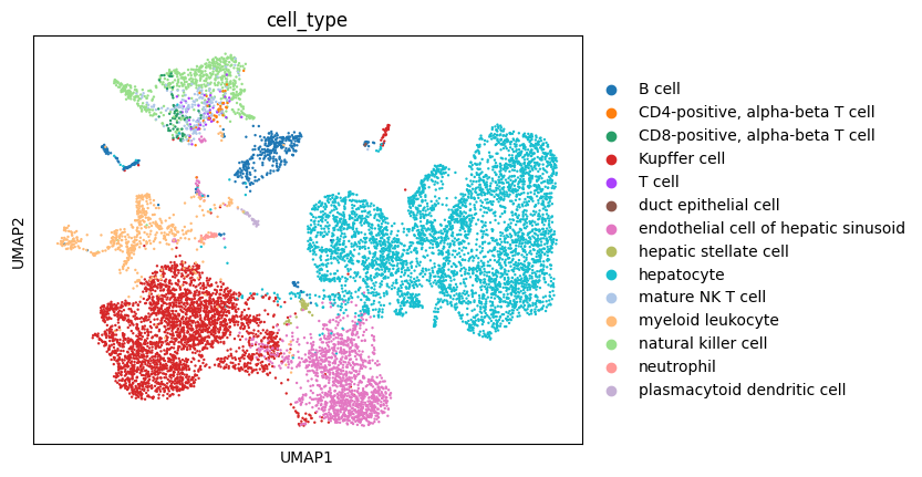 ../../_images/notebooks_analysis_demo_comp_bio_data_integration_scvi_47_1.png