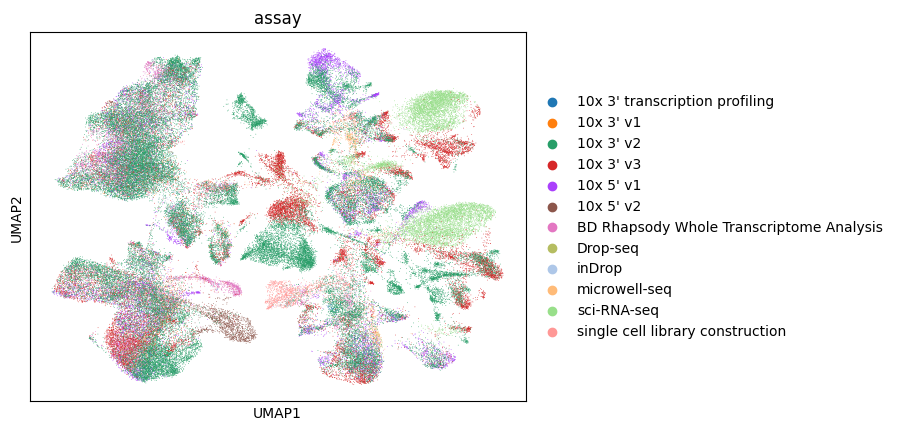 ../../_images/notebooks_analysis_demo_comp_bio_explore_and_load_lung_data_56_1.png