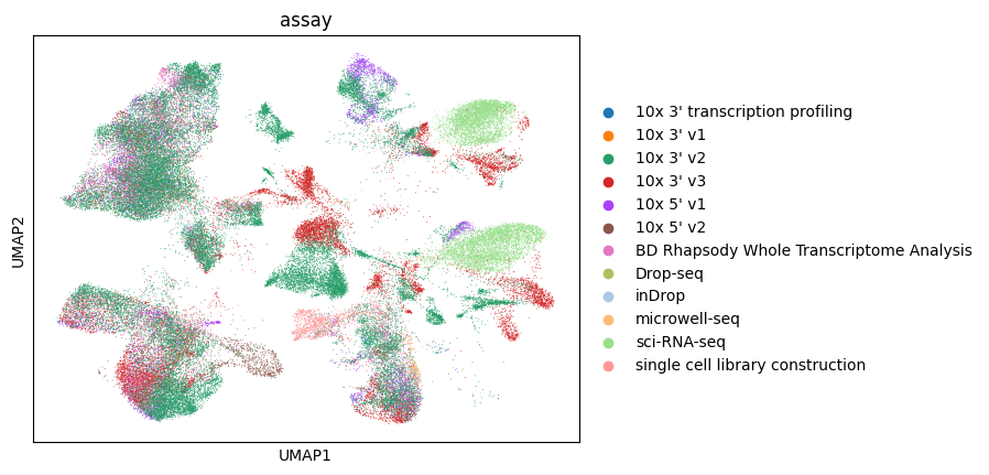 ../../_images/notebooks_analysis_demo_comp_bio_explore_and_load_lung_data_61_1.png